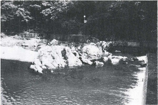 成木川の石灰岩露頭